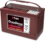 Trojan OverDrive� AGM31